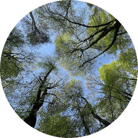 Ayurveda and ayurvedic health coaching in Dumfries and Galloway