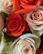 Happy Valentine’s Day!